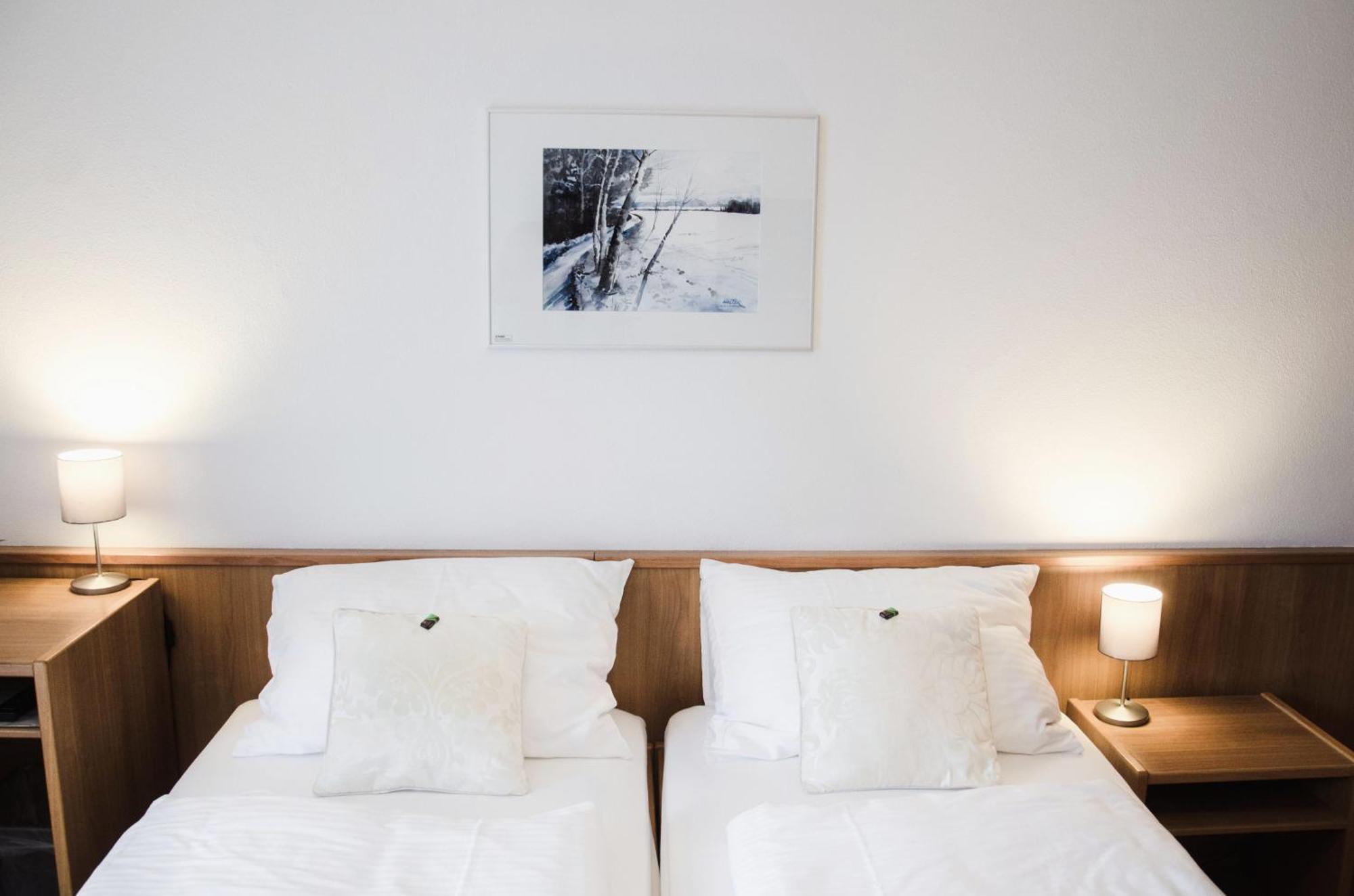 Hotel Blaue Traube ショーンガウ エクステリア 写真