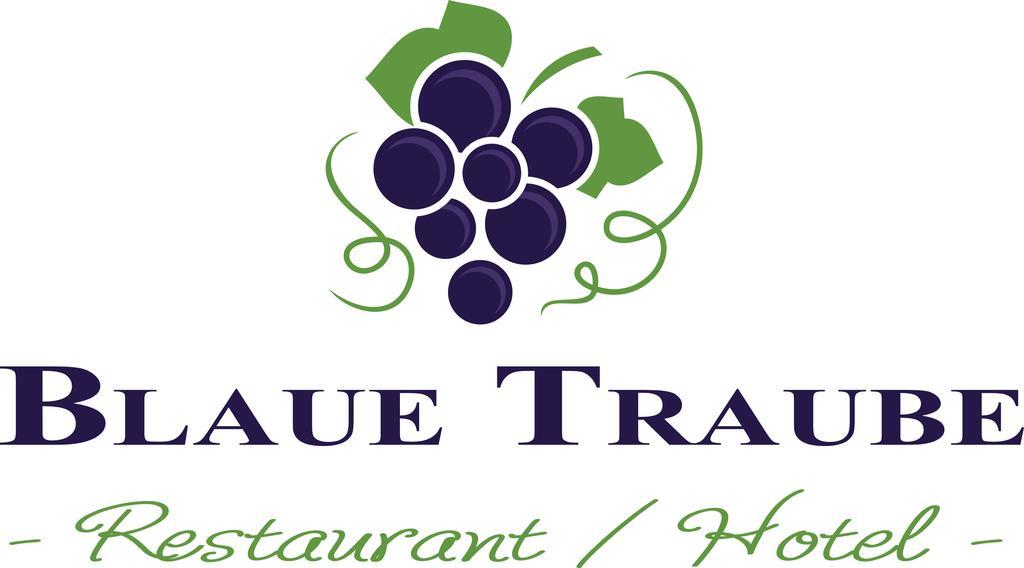 Hotel Blaue Traube ショーンガウ エクステリア 写真