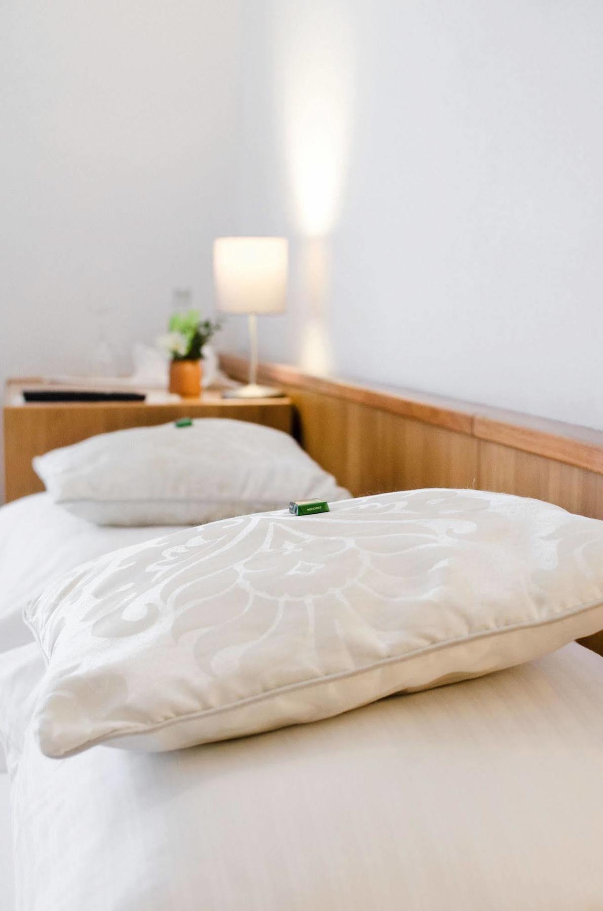 Hotel Blaue Traube ショーンガウ エクステリア 写真